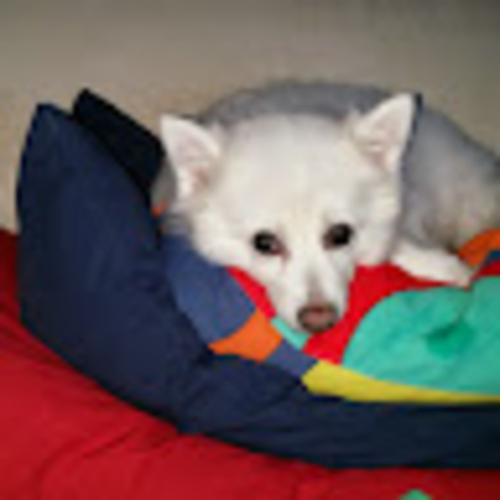 Meet your Posher, Irina